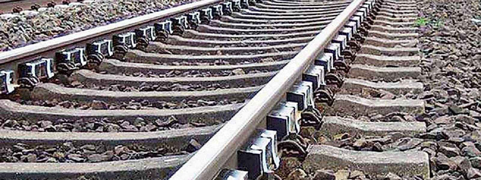චීනයෙන් රේල් පීලි 10,000 ක් ආනයනය කෙරේ.